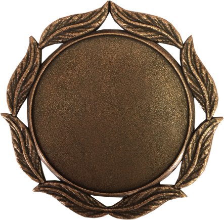 Медаль 70 мм М6708 бронза