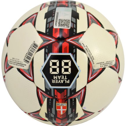 Мяч футбольный Select Campo Pro размер 4