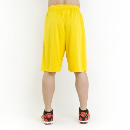 Баскетбольные шорты Joma Short Basket 100051.900 цвет: желтый